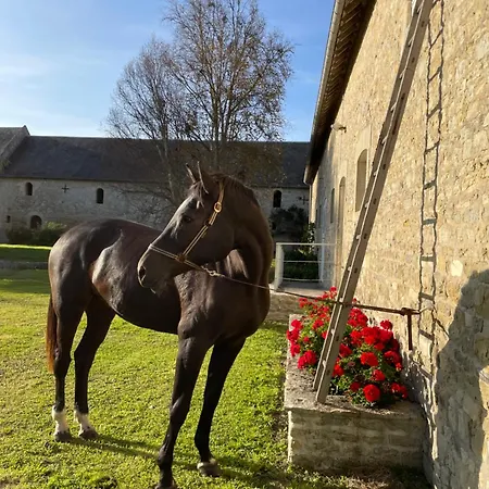 Ferme Fortifiee D Enguenard Bed & Breakfast Formigny