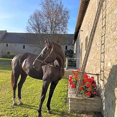 Bed & Breakfast Ferme Fortifiee D Enguenard *