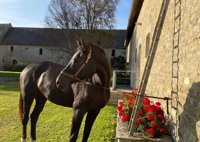 Ferme Fortifiee D Enguenard Bed & Breakfast Formigny